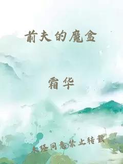 前夫的魔盒